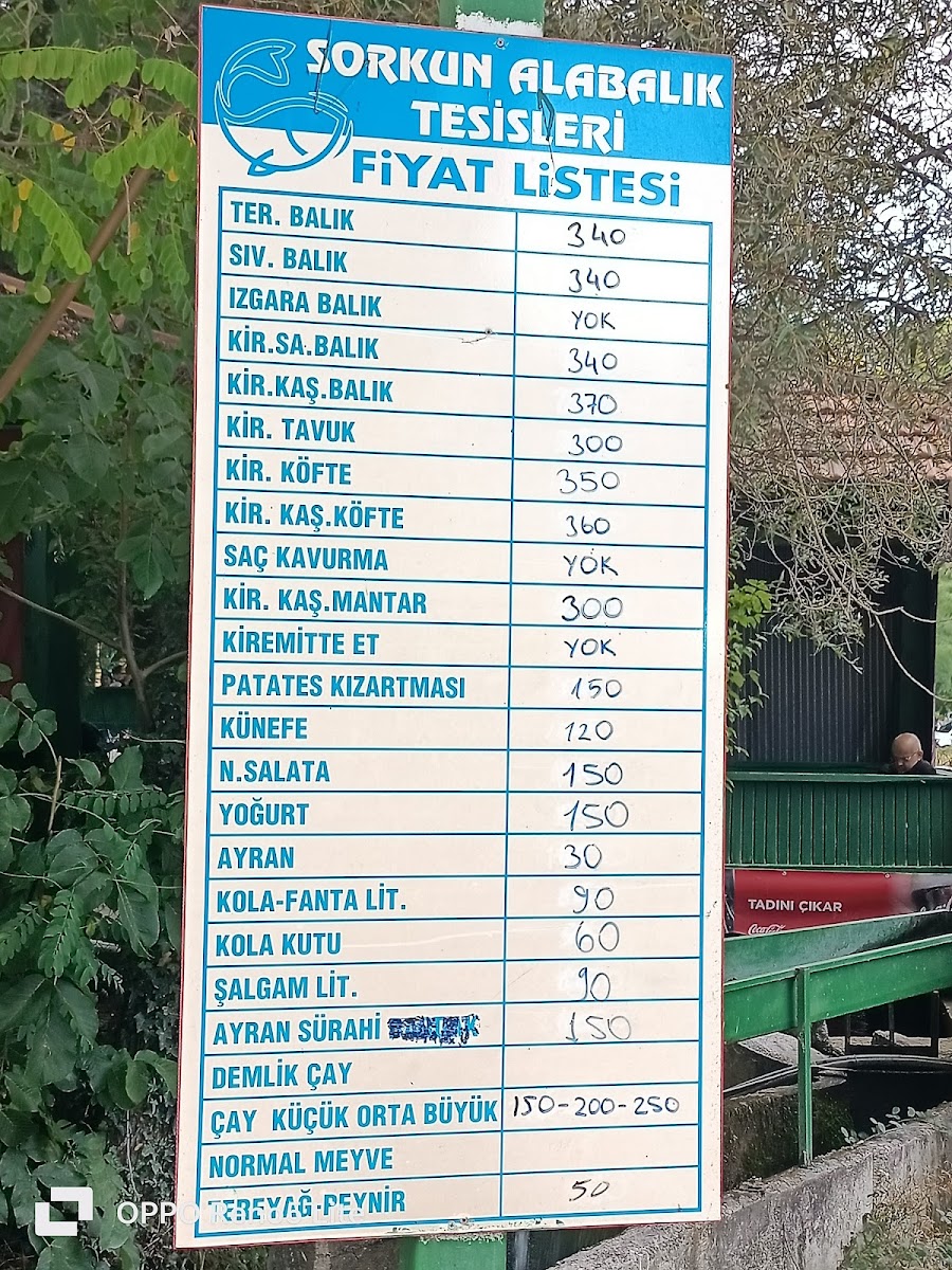 Kestel Köyü Sorkun Alabalık Tesisleri — fotoğraf 2