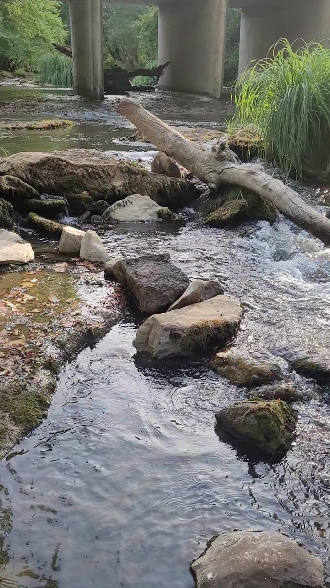 Ketenlik Deresi Piknik Alanı — fotoğraf 3