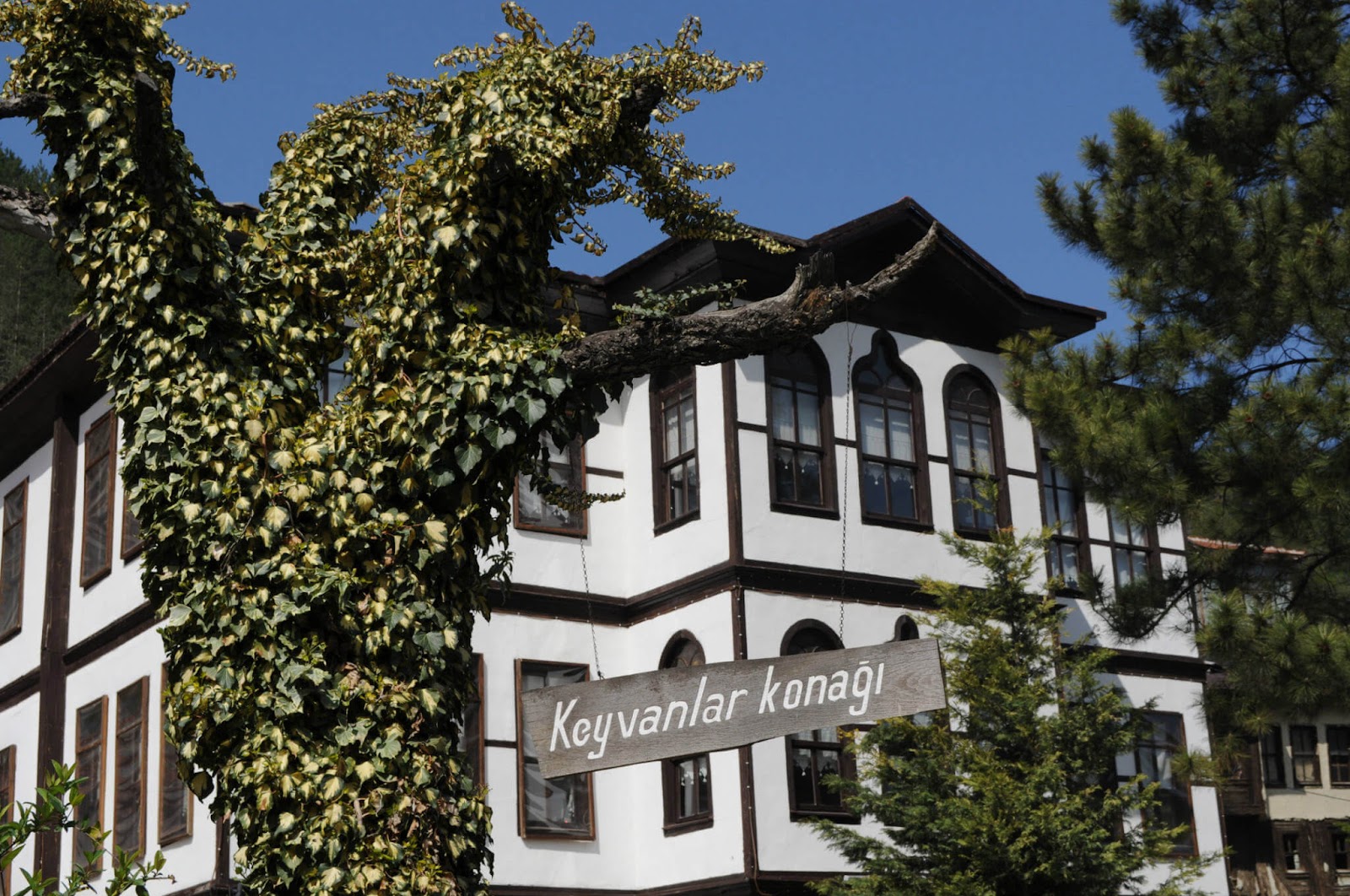 Keyvanlar konağı mudurnu — photo