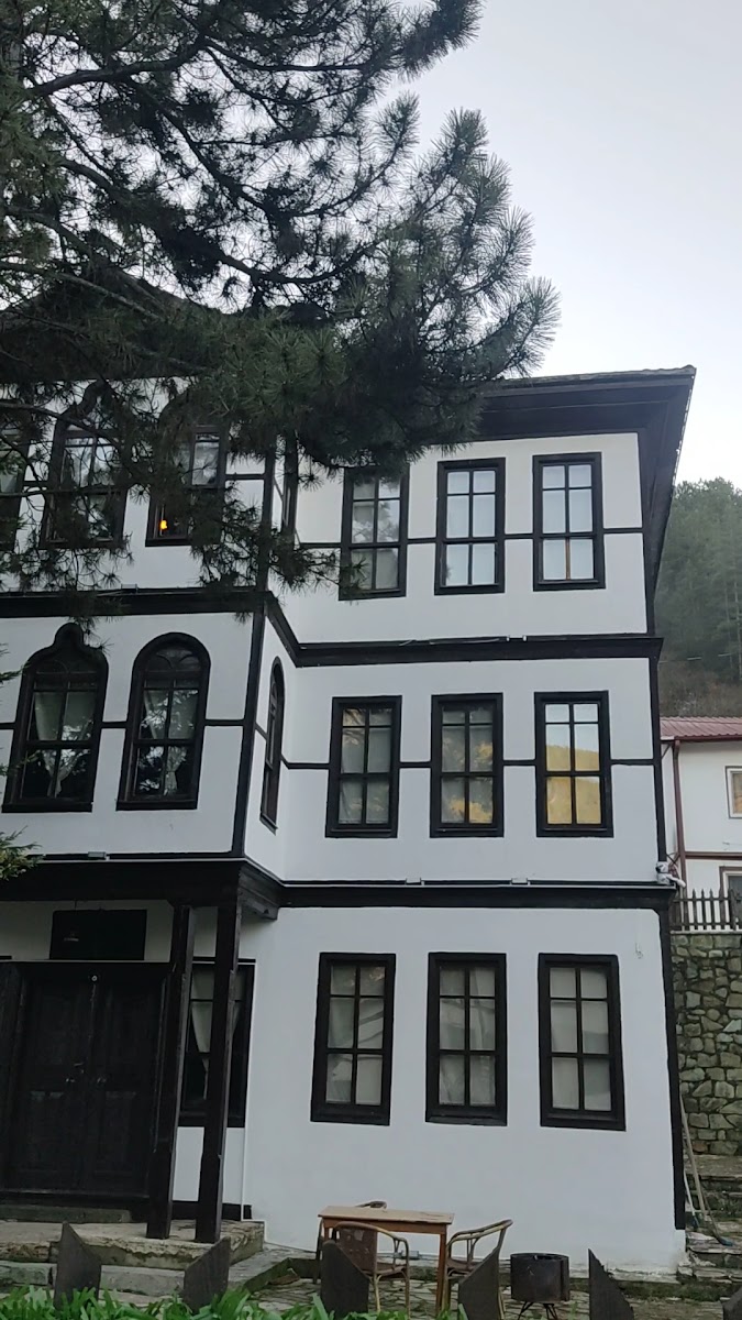 Keyvanlar konağı mudurnu — photo 4