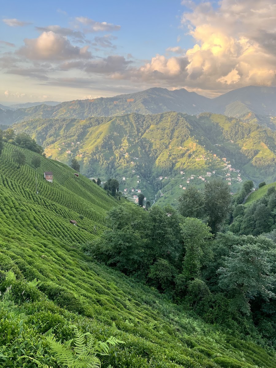 Kıbledağı Mesire Alanı — fotoğraf 2