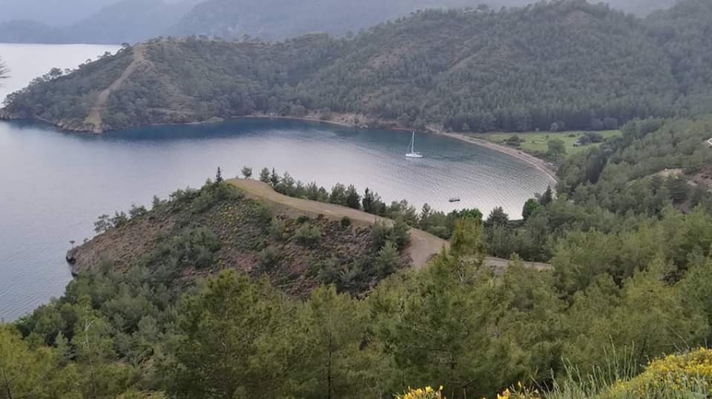 Kille Koyu — fotoğraf