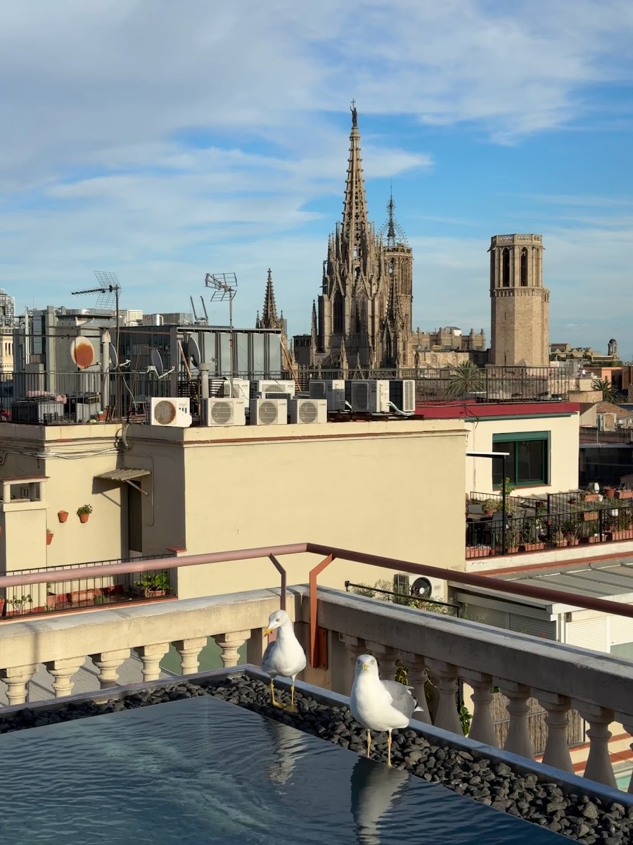 Kimpton Vividora Barcelona — fotoğraf 3