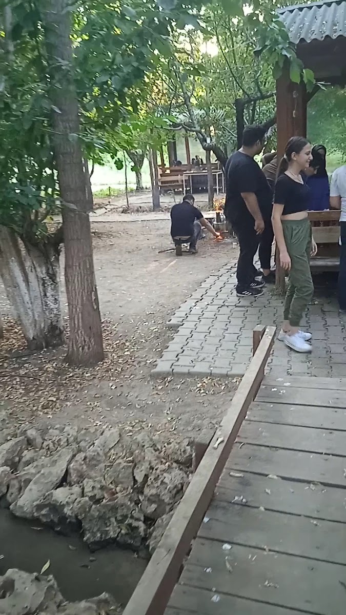 Kirazlı Bahçe Aile Piknik Alanı — fotoğraf 3