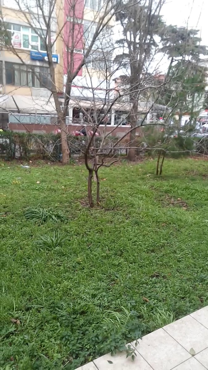 Kırçiçeği Restoran — photo 3