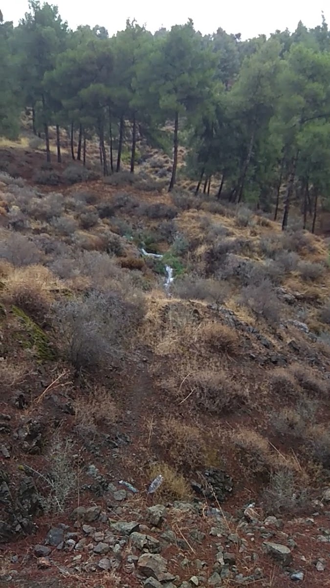 Kırıkhan Kent Ormanı — fotoğraf 3