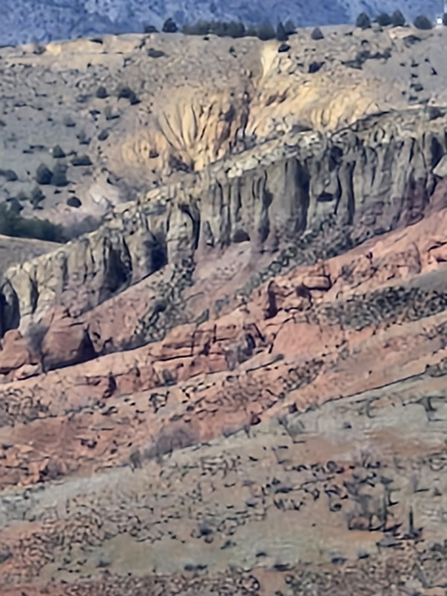 Kırıkkale Millet Ormanı — fotoğraf 2