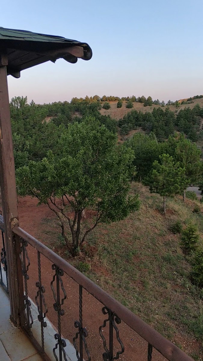 Kırıkkale Millet Ormanı — fotoğraf 4