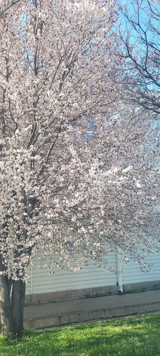 Kırıkkale Üniversitesi — fotoğraf 2
