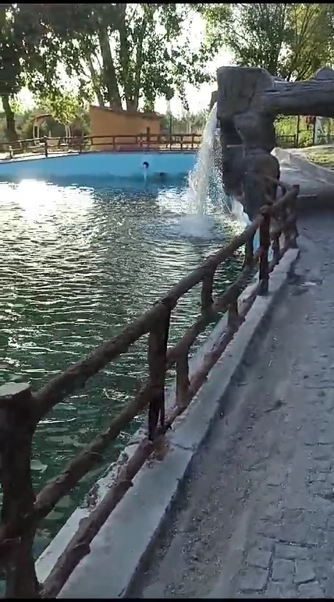Kırkağaç Belediyesi Aksu Piknik Alanı — fotoğraf 3
