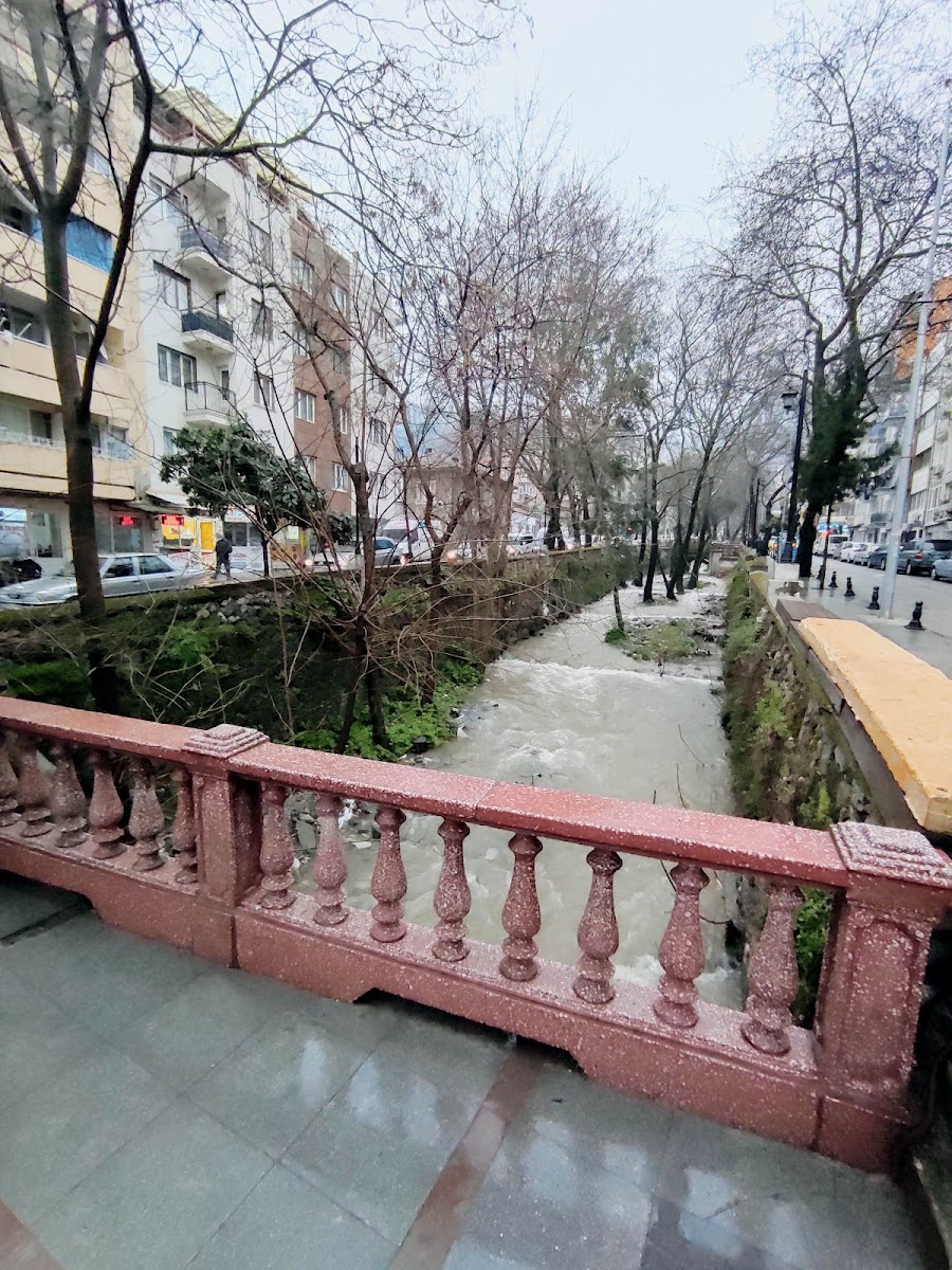 Kırmızı Köprü — fotoğraf