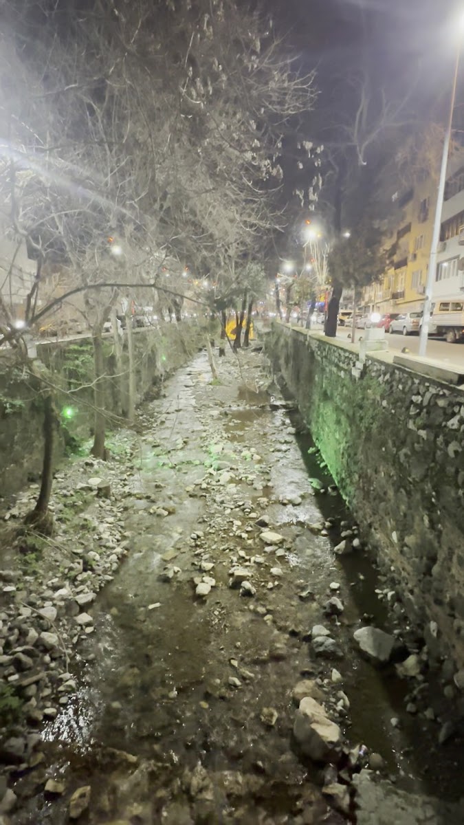 Kırmızı Köprü — fotoğraf 2