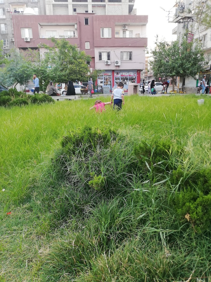 Kırmızı Medrese Parkı — fotoğraf 2