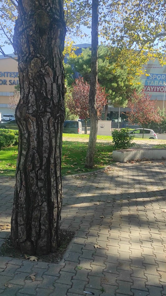 Kışla Parkı — fotoğraf 3