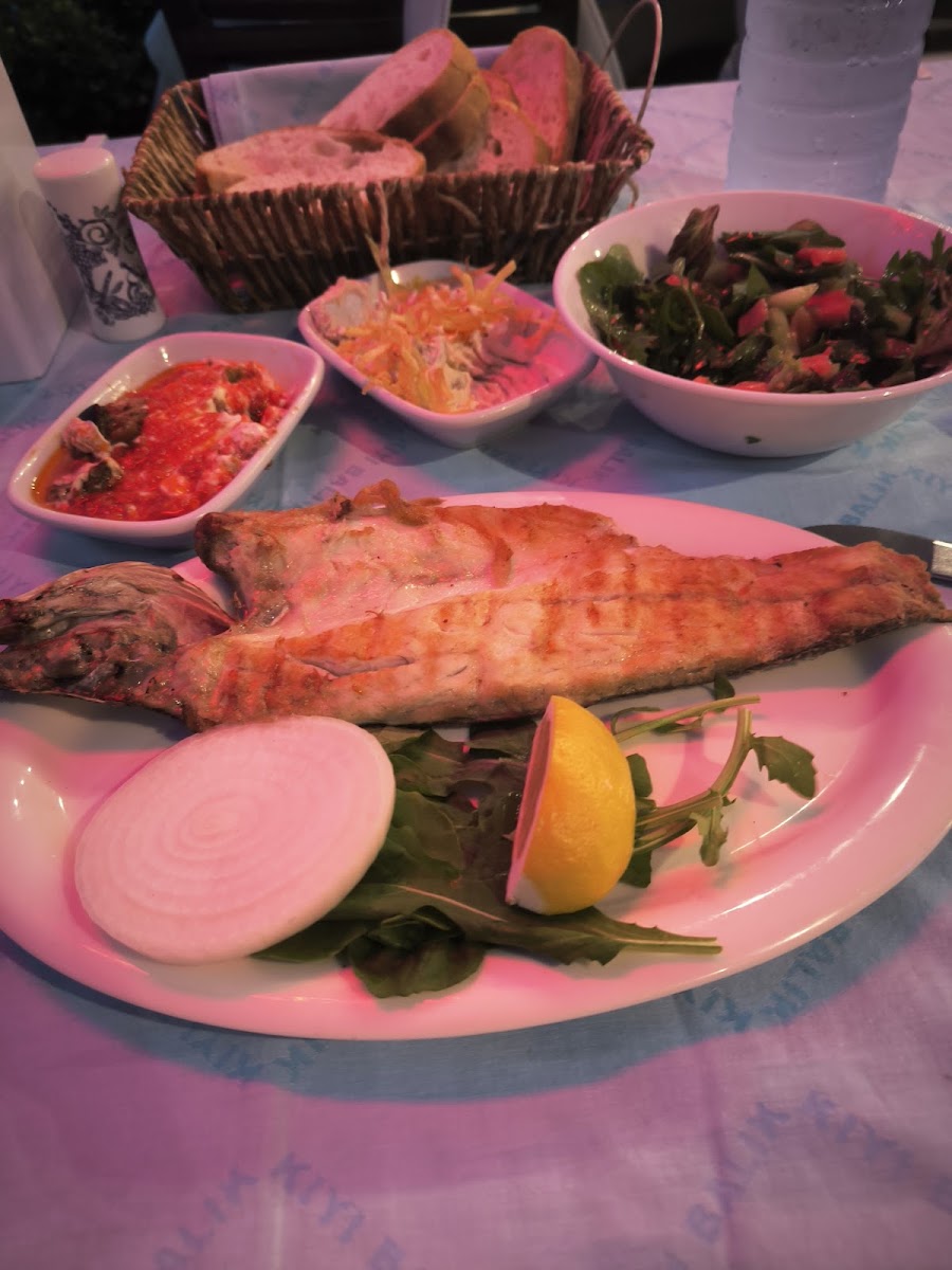 Kıyı Balık — photo 3