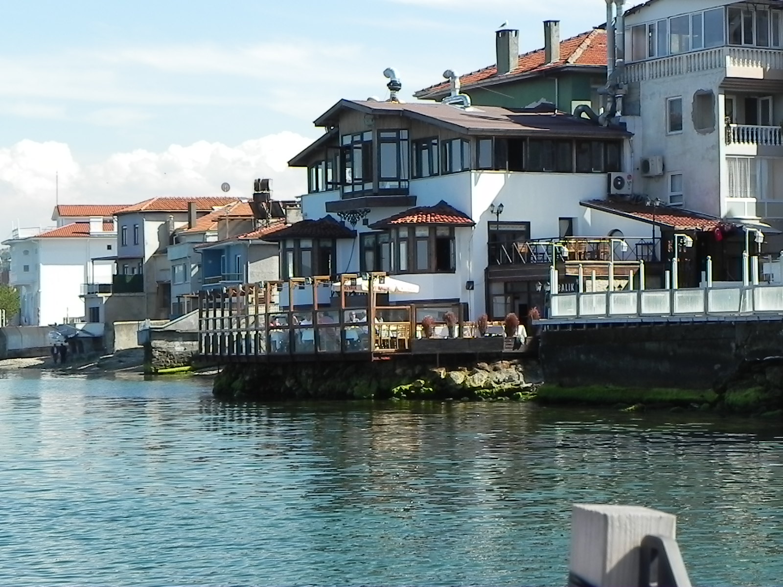 Kıyı Balık — photo 8