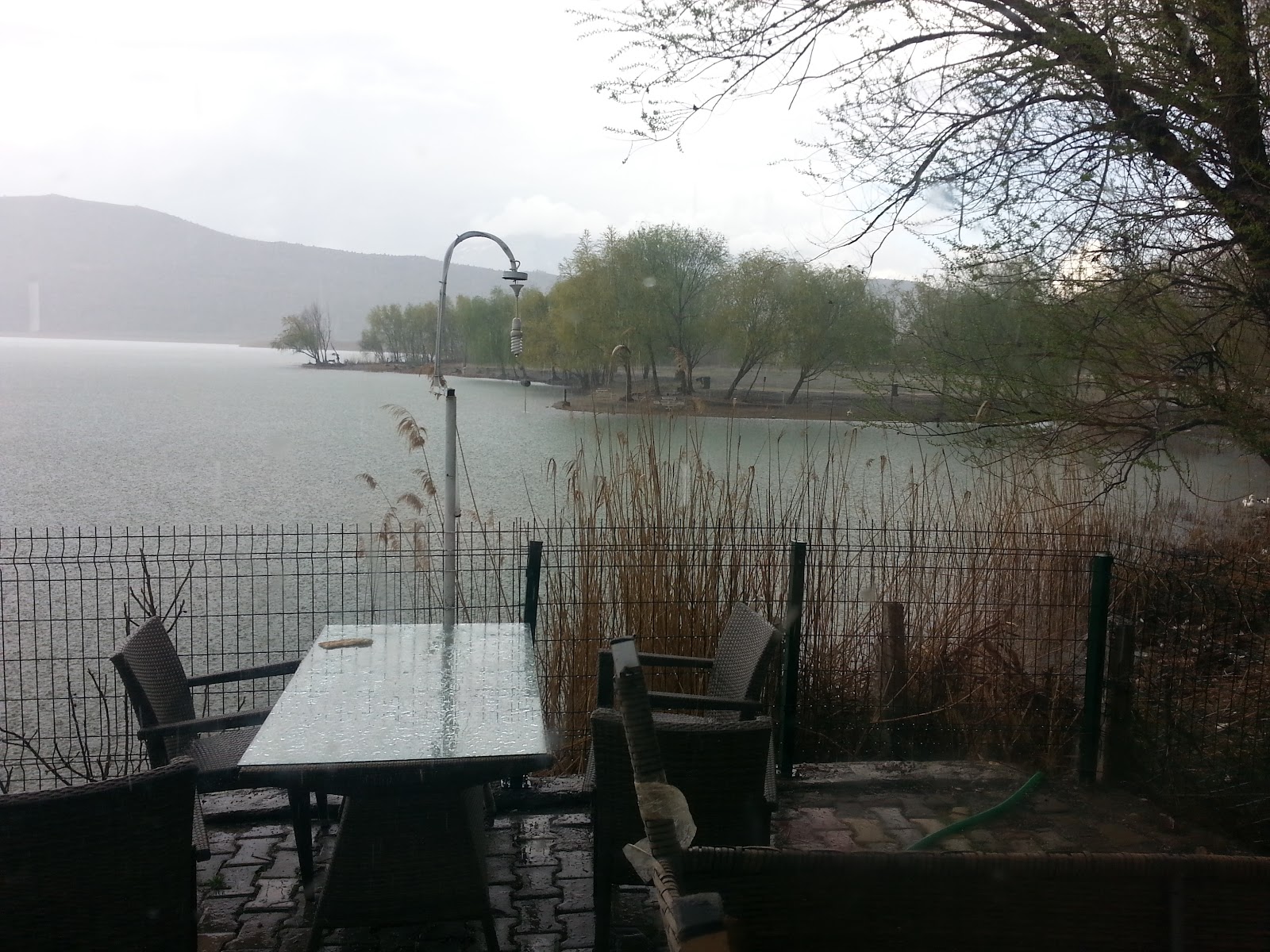 Kıyı Restaurant Alabalık — fotoğraf 5