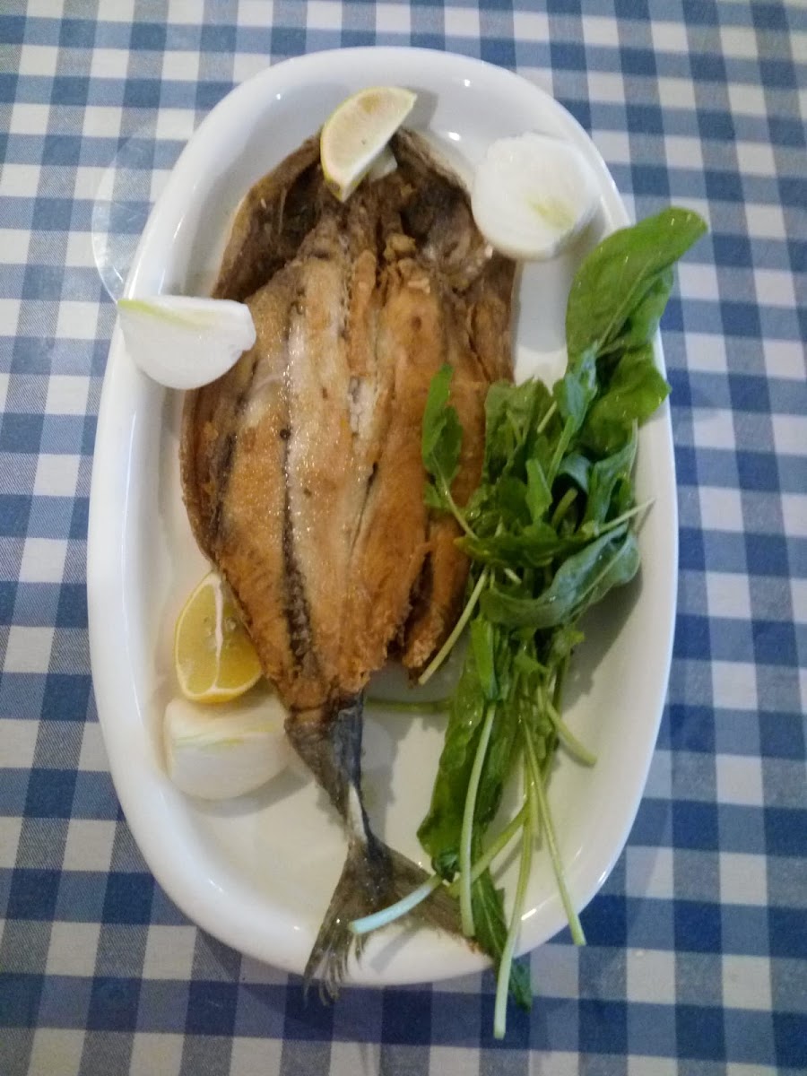 Kıyı Restaurant — fotoğraf 7