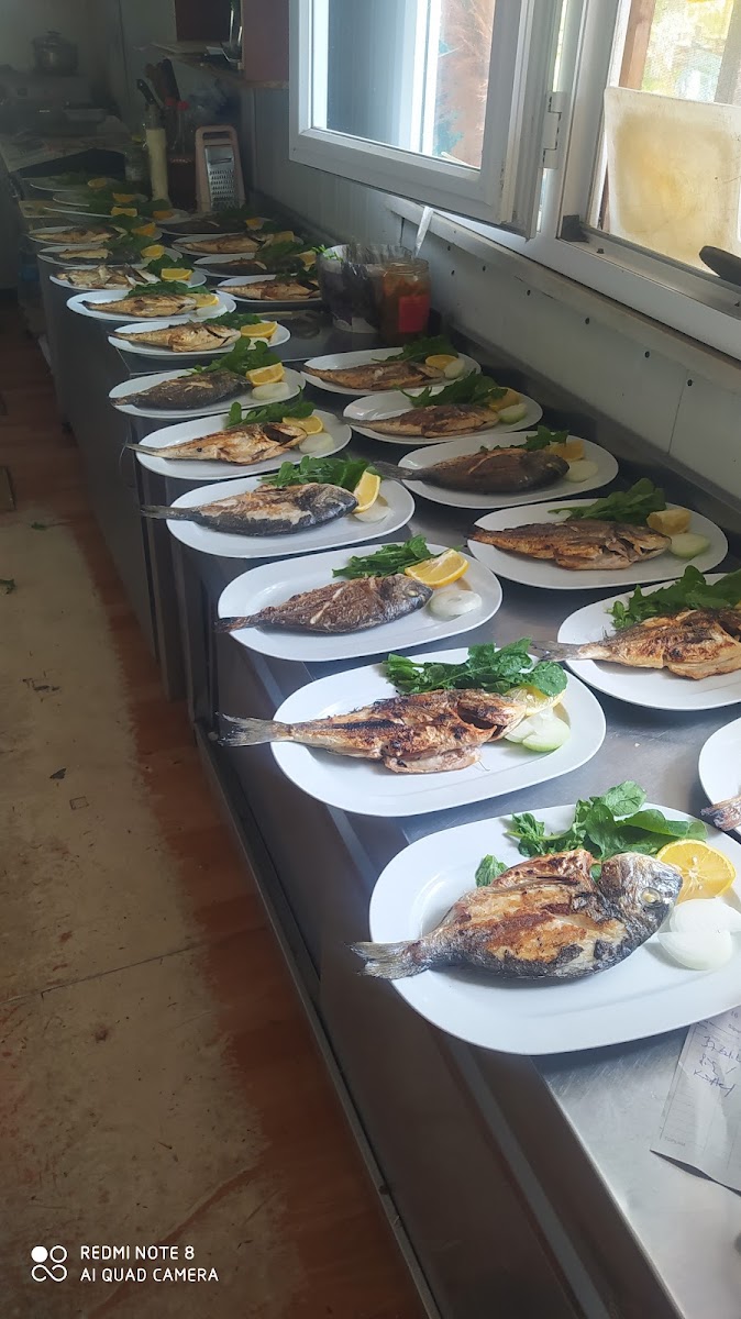 Kıyıköy Mehmet Genç Restaurant ve Dış Çekim Alanı — fotoğraf 5