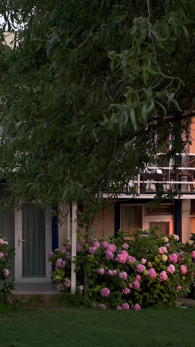 Kıyıköy Resort Hotel — fotoğraf 3