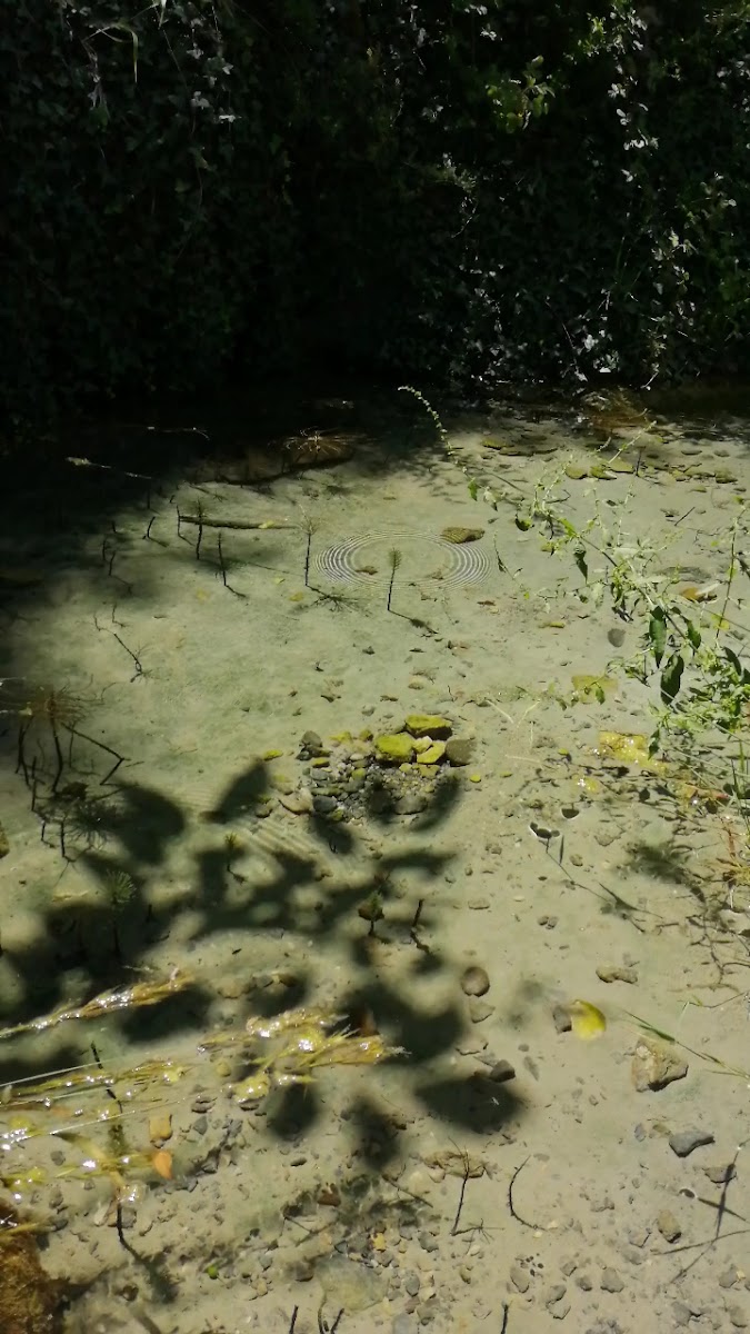 Kız Kayası Kanyonu — fotoğraf 2