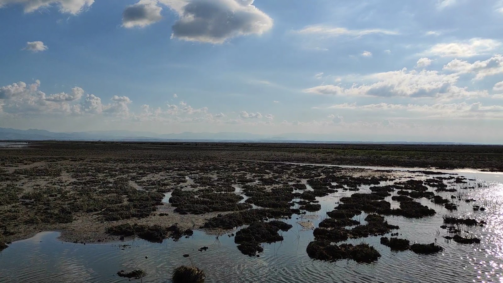 Kızılırmak Deltası Kuş Cenneti — fotoğraf 3