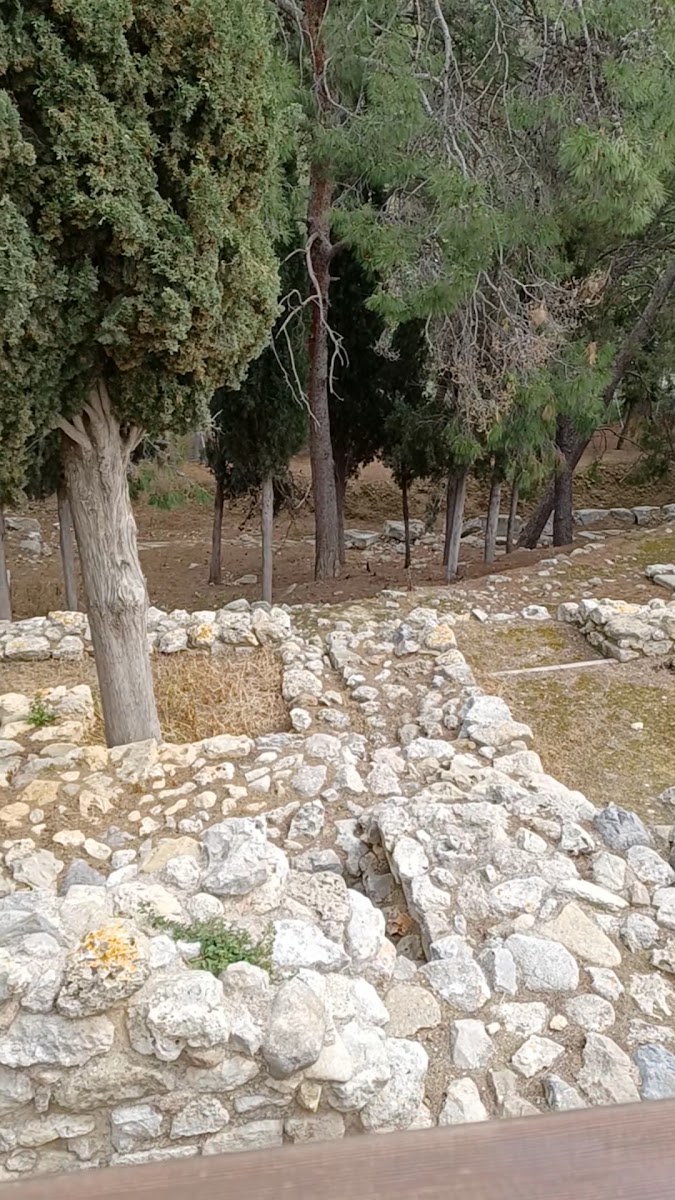 Knossos Sarayı — fotoğraf 3