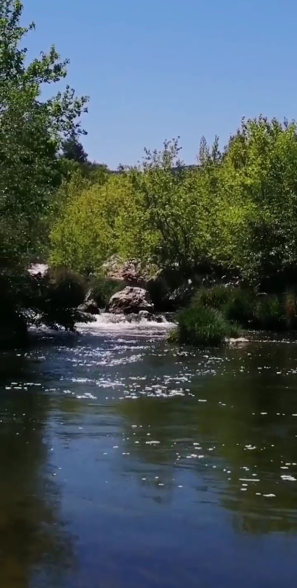 Kocaavşar Deresi Mesire Alanı — fotoğraf 4