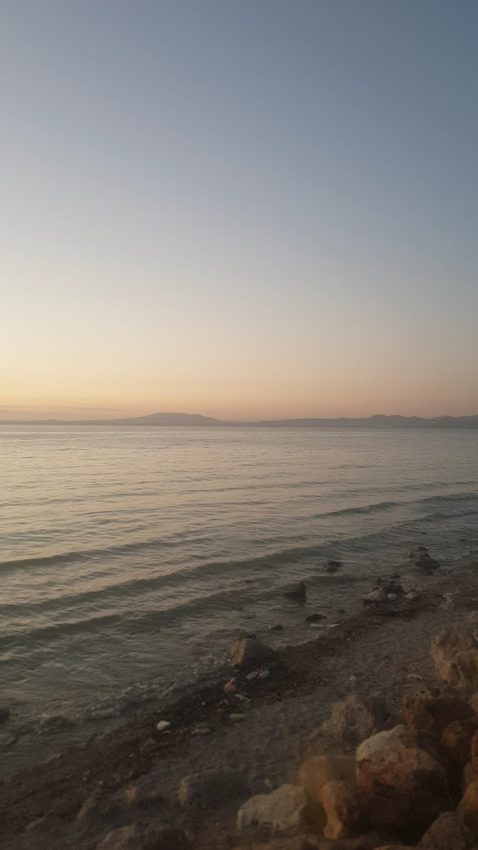 Kocaeli Dostluk Parkı — fotoğraf 4