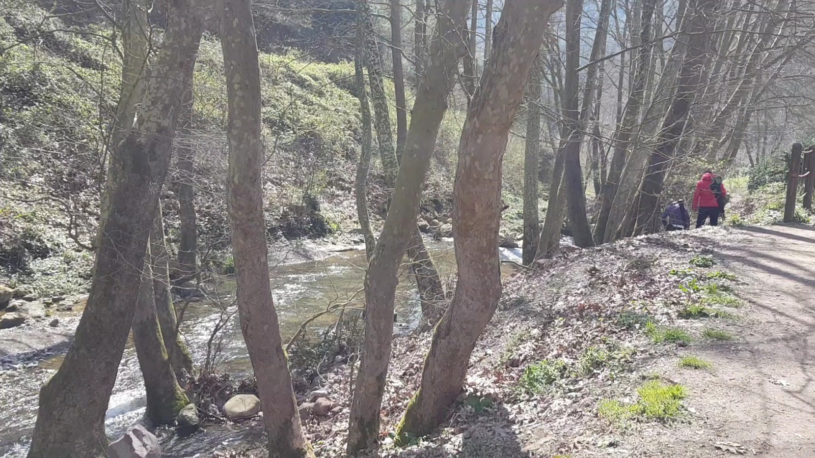 Kocaeli Kent Ormanı — fotoğraf 3