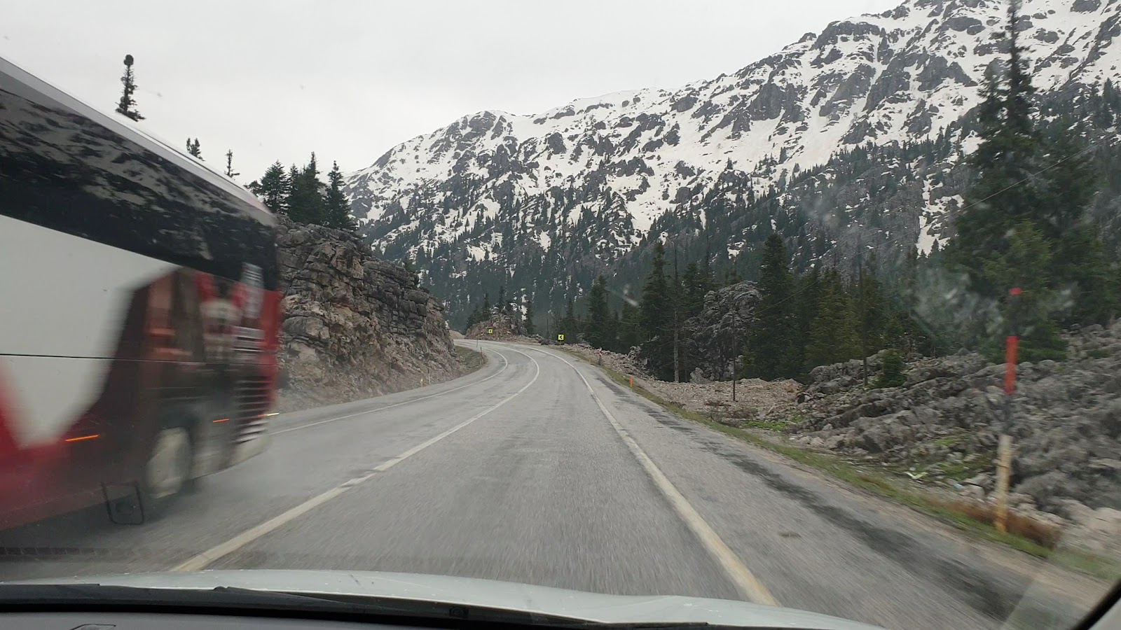 Kocakoru Tabiat Parkı — fotoğraf 3