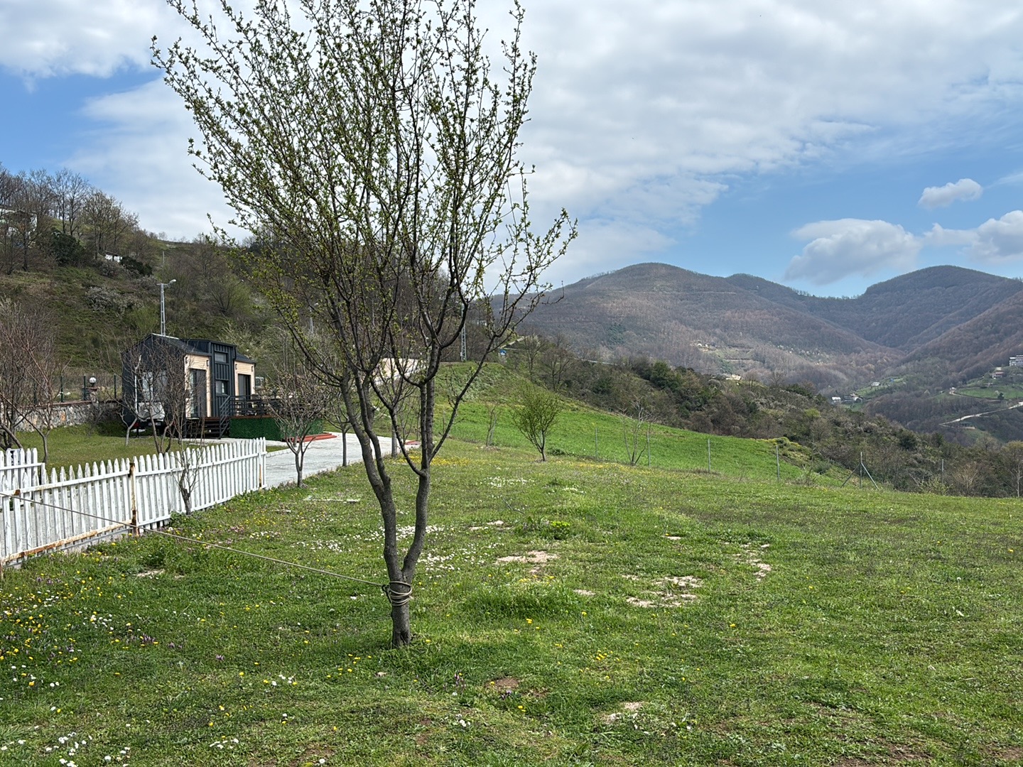 Koçal Çiftliği Kafe&Restoran Yuvacık — fotoğraf 2