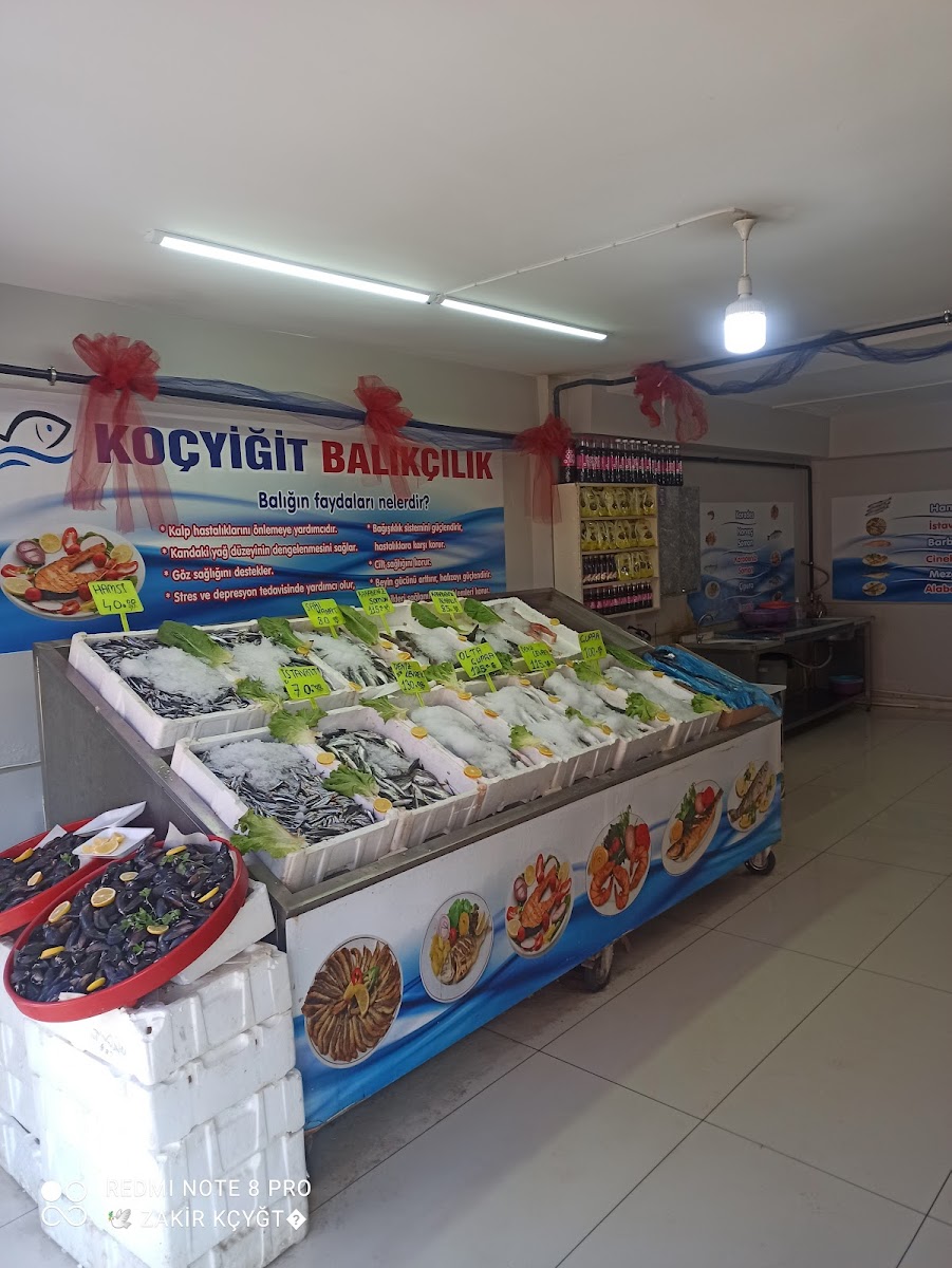 KOÇYİĞİT BALIKÇILIK — fotoğraf 2