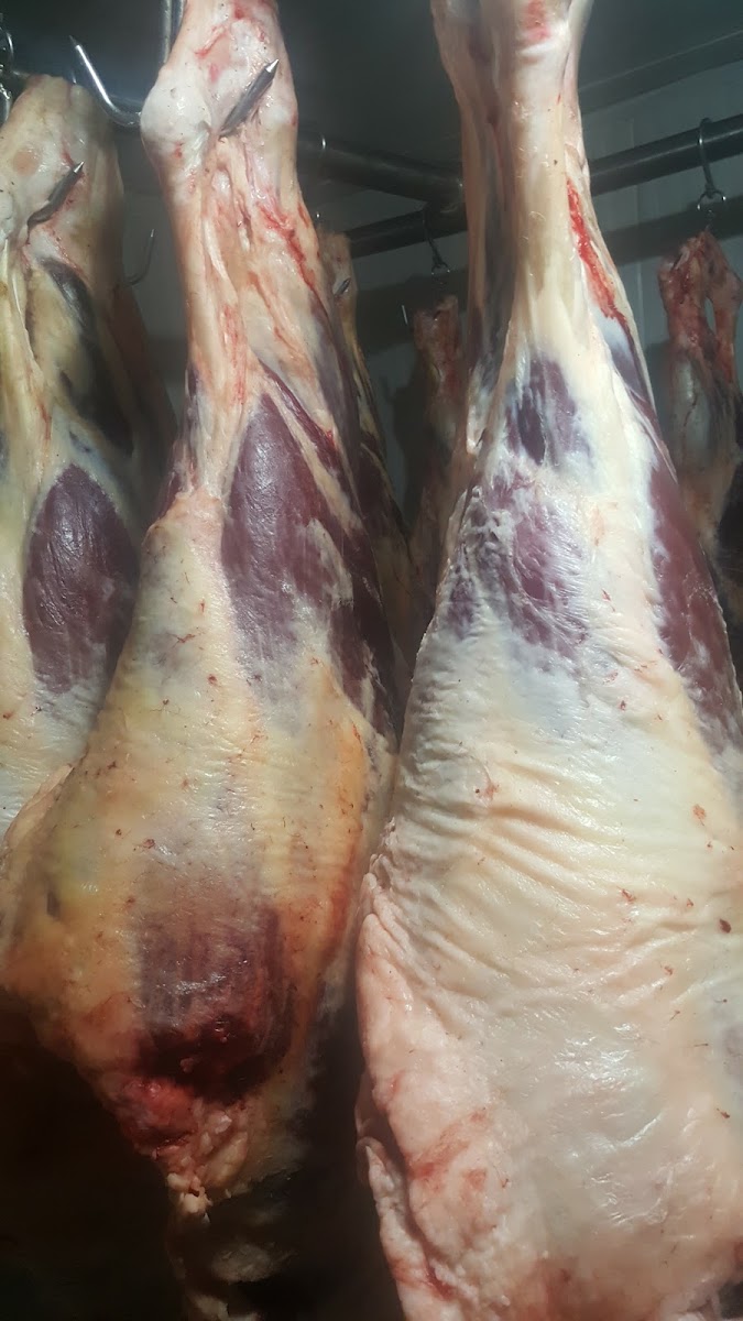 Köfteci Ahmet — fotoğraf 8