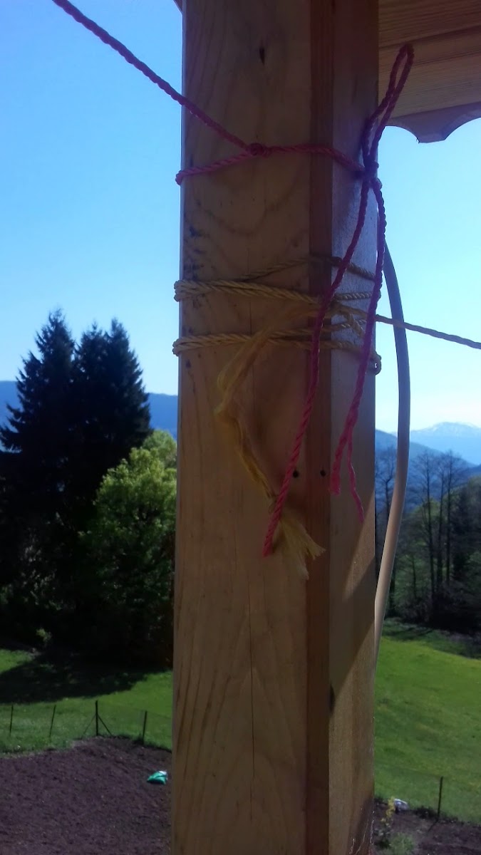 Koliva Otel — fotoğraf 3