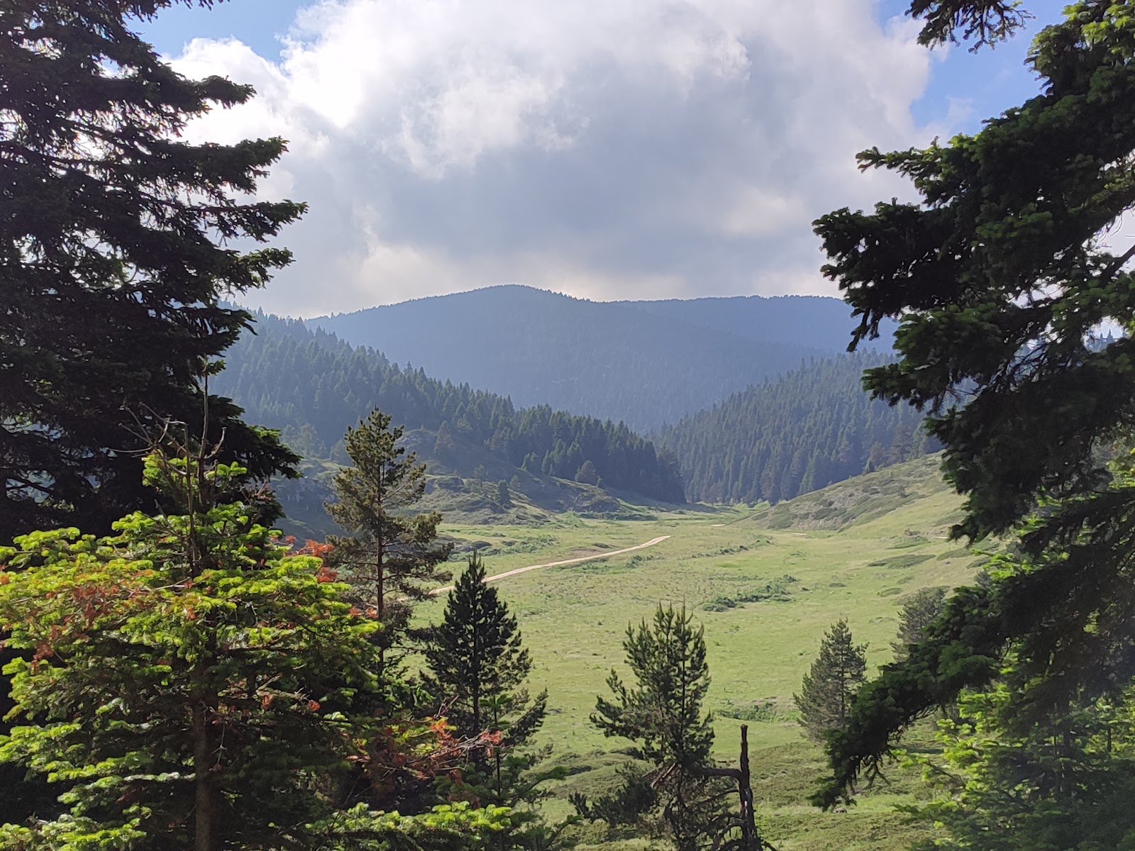 Kömürsu yaylasi — fotoğraf 1