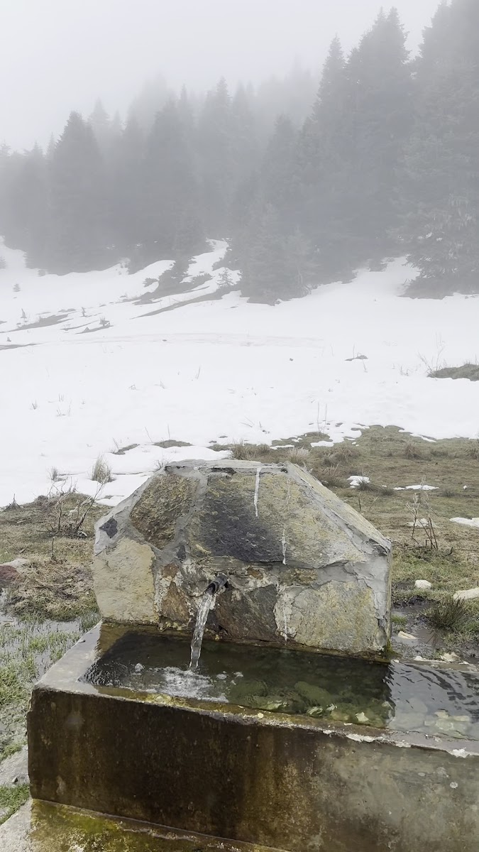 Kömürsu yaylasi — fotoğraf 2