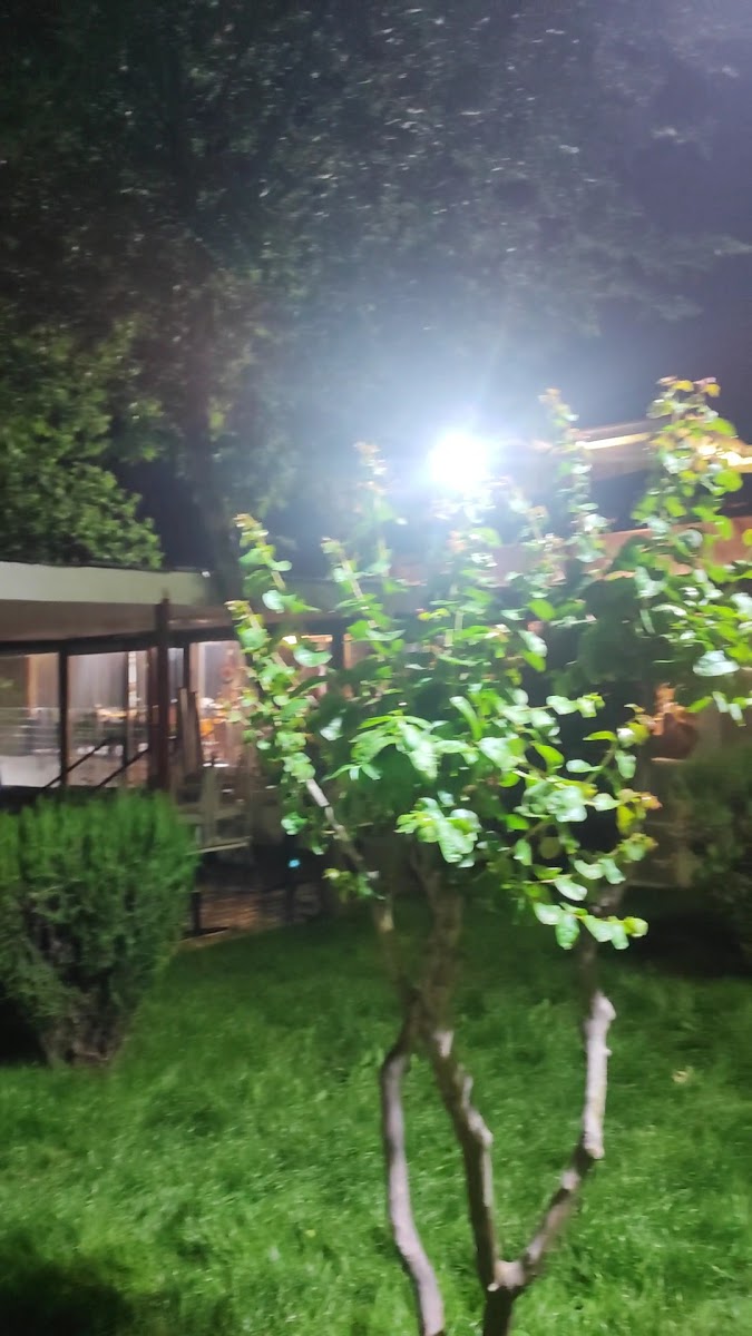 Konak Restaurant & Cafe — fotoğraf 3