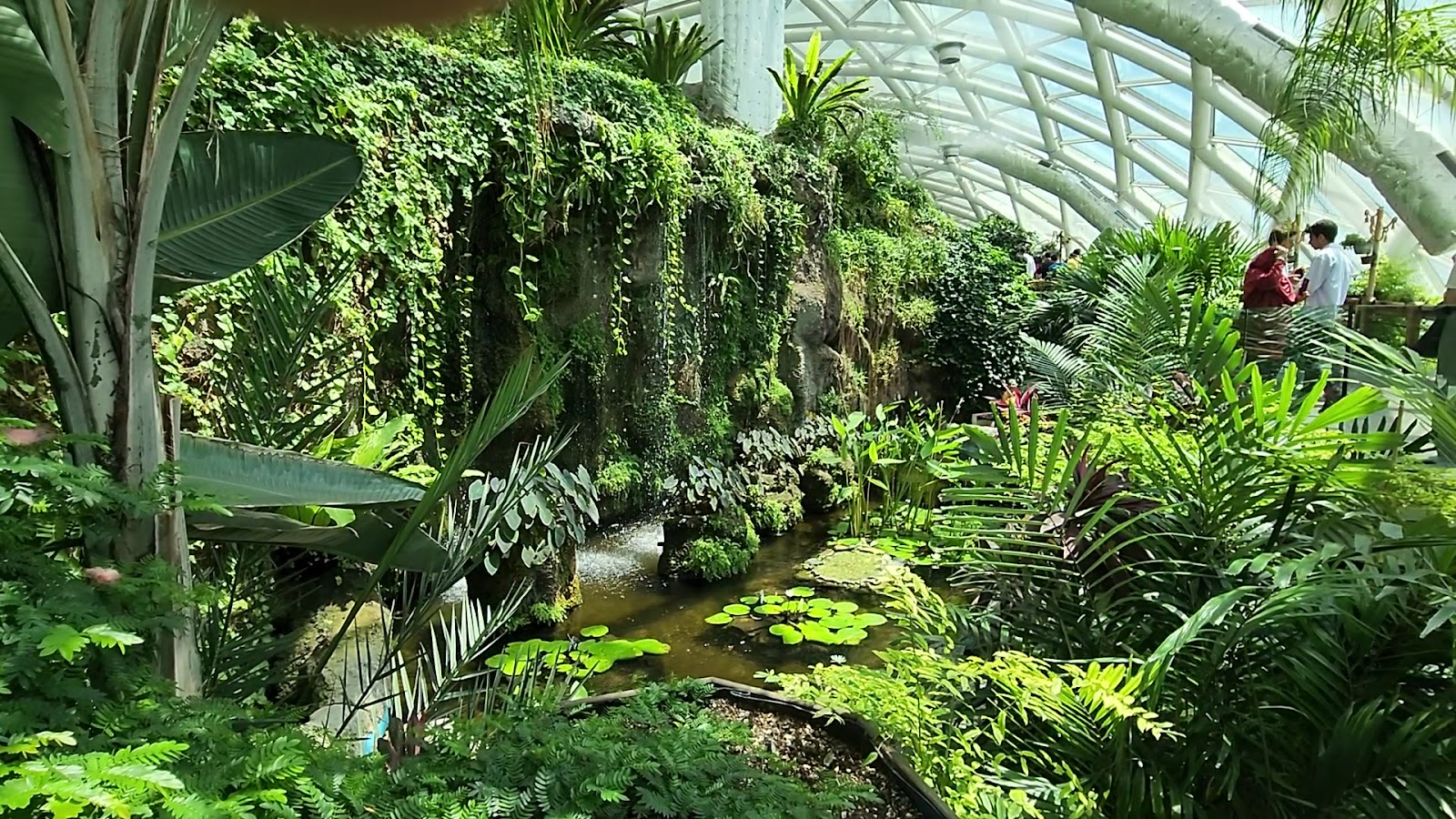 Konya Tropikal Kelebek Bahçesi — fotoğraf 3