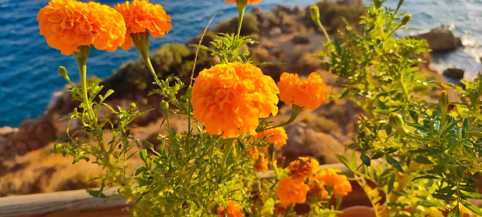 Konyaaltı Plajları — photo 4