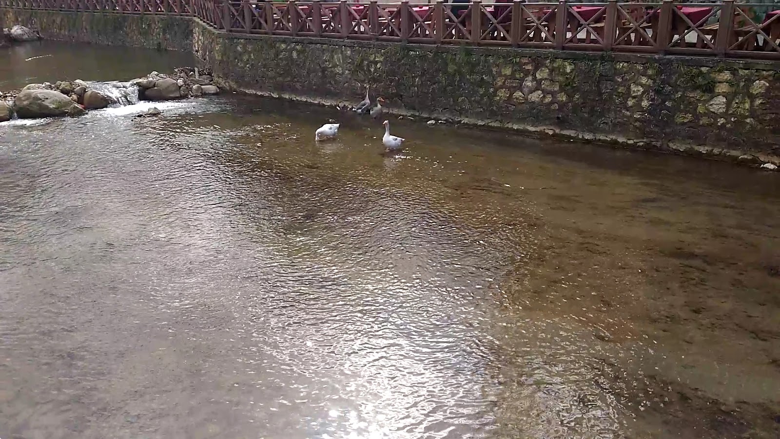 Köprübaşı Restoran - Kahvaltı & Izgara — fotoğraf 3