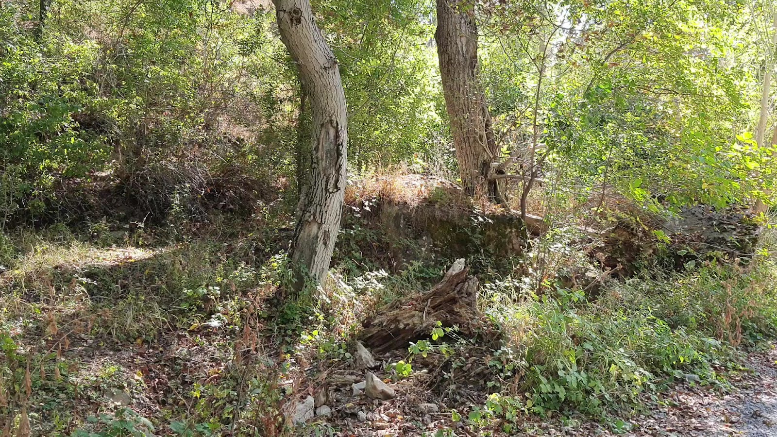 Koramaz Vadisi — fotoğraf 3