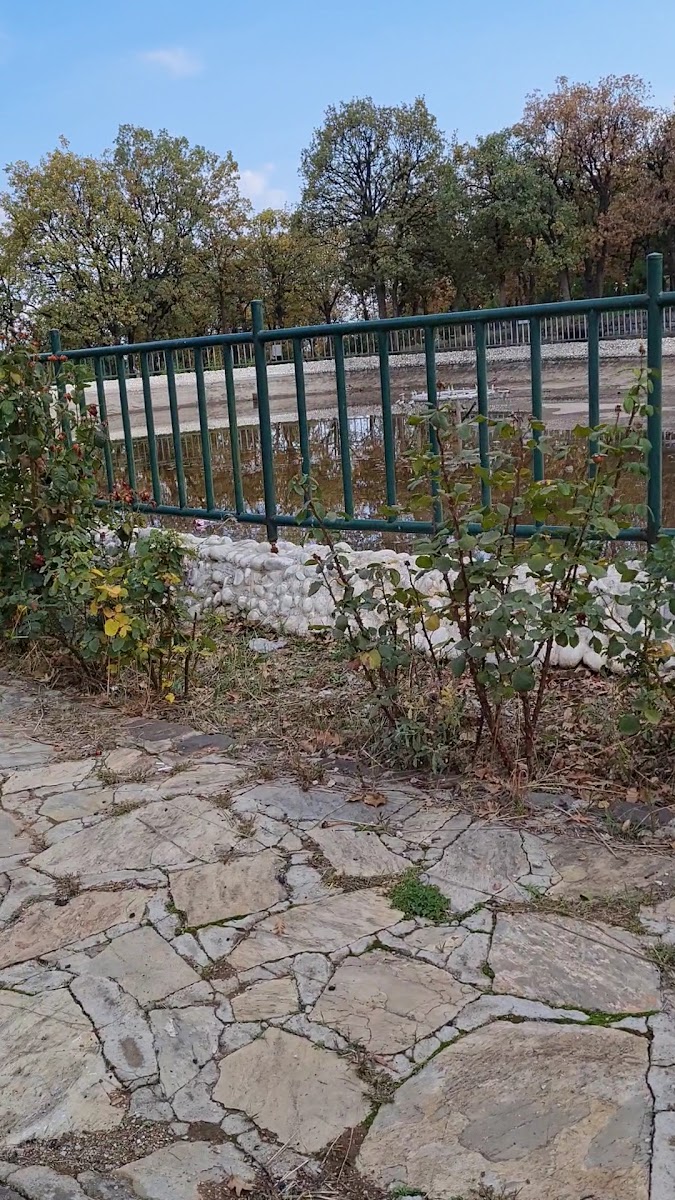 Korupark — fotoğraf 2