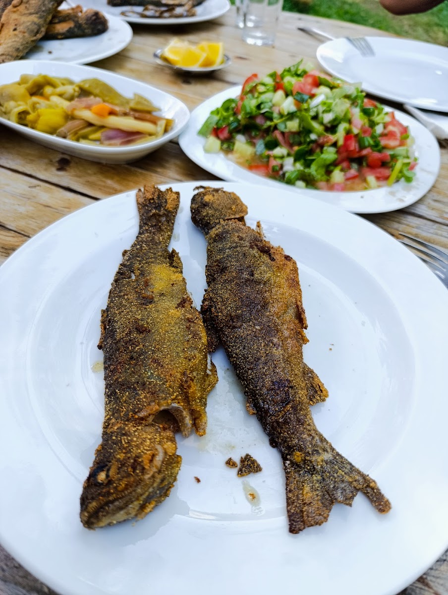 KOŞAT ALABALIK RESTORAN — fotoğraf 1