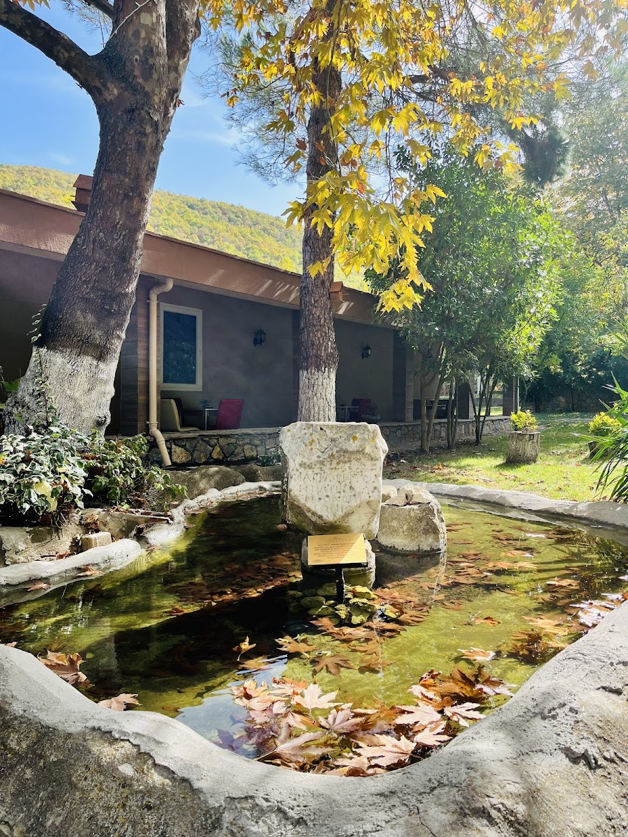 Köşdere Kırkgeçit Termal Otel — fotoğraf 4