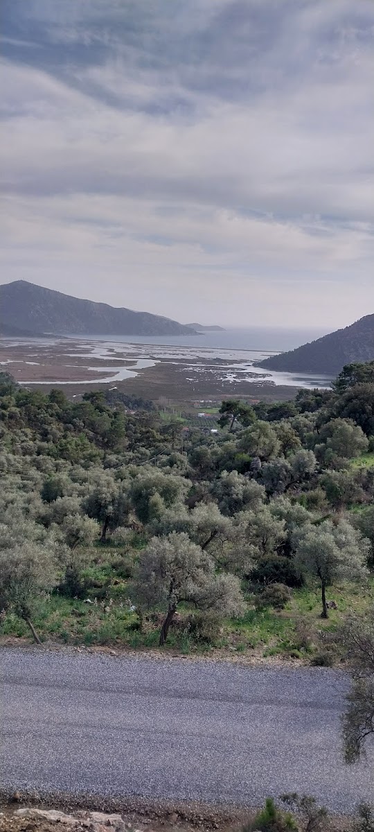 KÖYCEĞİZ - DALYAN ÖZEL ÇEVRE KORUMA BÖLGESİ — photo 3