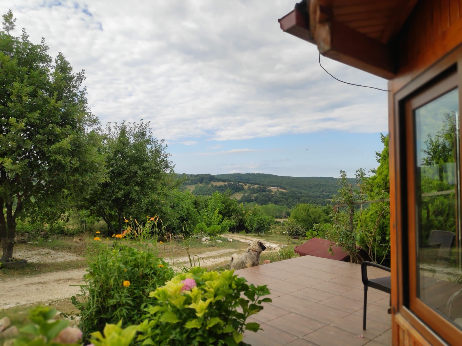 Köyevi — fotoğraf 4