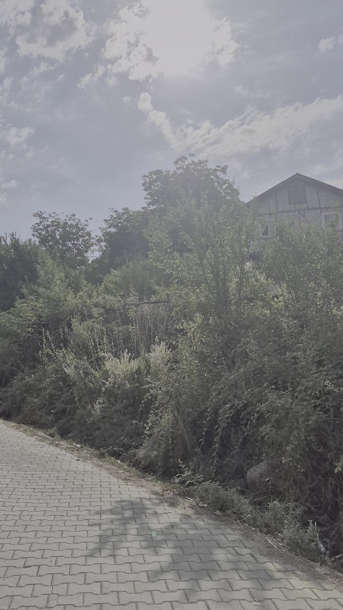 Köylüm Mantı Evi — fotoğraf 3