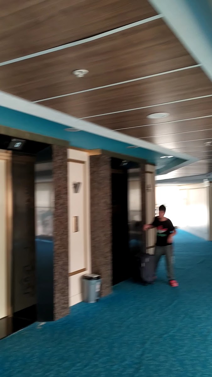 Kozaklı Sanitas Thermal Hotel — fotoğraf 3