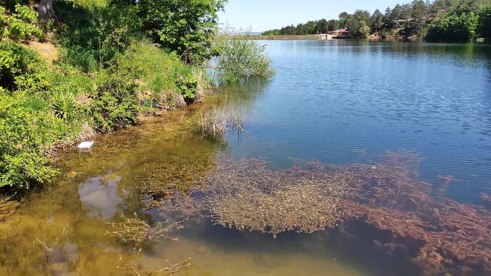 Küçükelmalı Tabiat parkı — fotoğraf 3